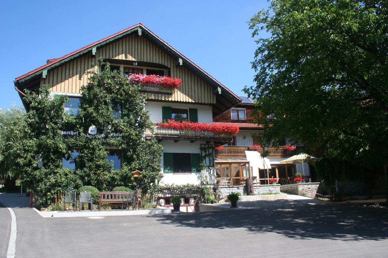 Hotel Steiner Wirt Tiefenbach  Exterior foto